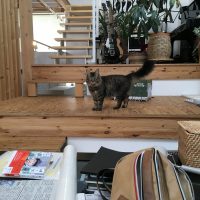 20161227095702_IMG_1144