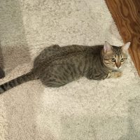 20161227163016_IMG_1146