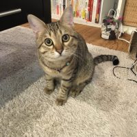 20161227163615_IMG_1153