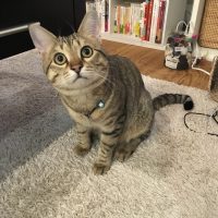 20161227163616_IMG_1155