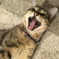 20161227164809_IMG_1157