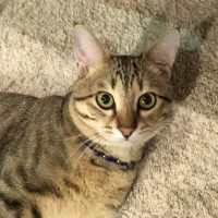 20161227164813_IMG_1159