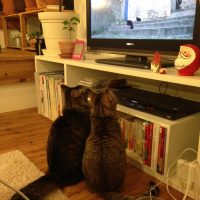 20161228030413_IMG_2152