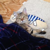 20161228114245_IMG_2157