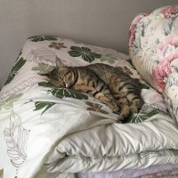 20170101133756_IMG_1165