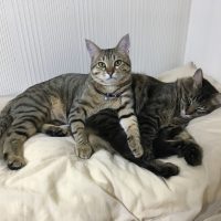 20170103201357_IMG_1173