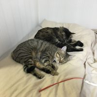 20170103203717_IMG_1180