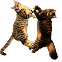 20170131161149_IMG_1195