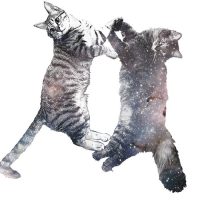 20170131170331_IMG_1223