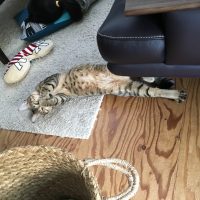 20170205161618_IMG_1227