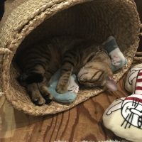 20170205203454_IMG_1235