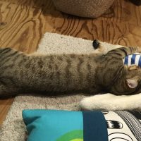 20170211235453_IMG_1240