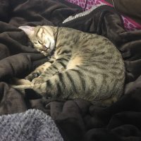 20170312124159_IMG_1257