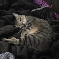 20170312132525_IMG_1260