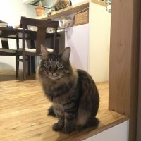 20170427191256_IMG_1264