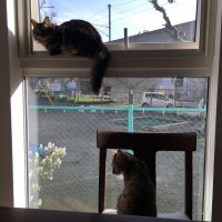 20170505163331_IMG_1268