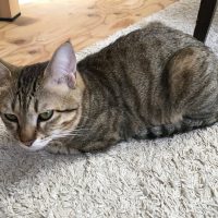 20170505164255_IMG_1291