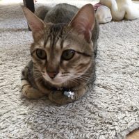 20170505164315_IMG_1292