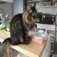 20170505164340_IMG_1294