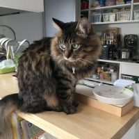 20170505164343_IMG_1295