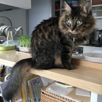 20170505164352_IMG_1296