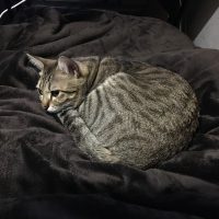 20170506185310_IMG_1303