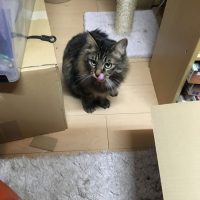 20170514181521_IMG_1309