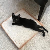 20170708174847_IMG_1316