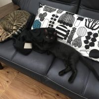 20170709145812_IMG_1338