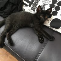 20170709150029_IMG_1342