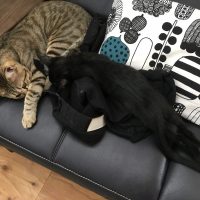 20170709151131_IMG_1346