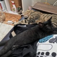 20170709151955_IMG_1348