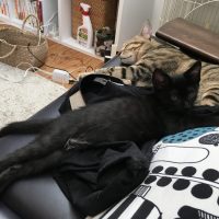 20170709152023_IMG_1351