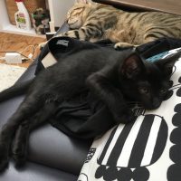 20170709152151_IMG_1352