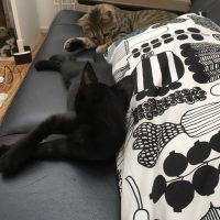 20170709152801_IMG_1355