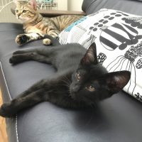 20170709152828_IMG_1356