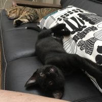 20170709152904_IMG_1367