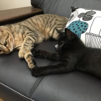 20170709152940_IMG_1370