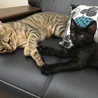 20170709152942_IMG_1371