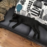 20170709153741_IMG_1380