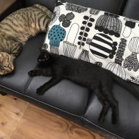 20170709153746_IMG_1381