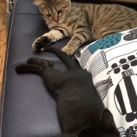 20170709203338_IMG_1387