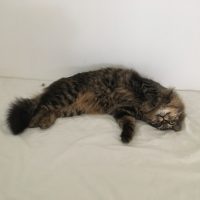 20170717084216_IMG_1418