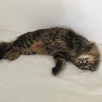 20170717084220_IMG_1419