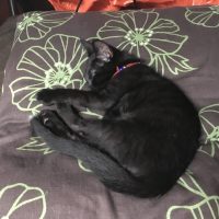 20170717195546_IMG_1420