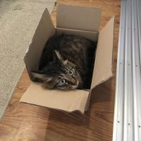 20170722085042_IMG_1426