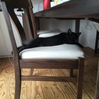 20170723095417_IMG_1427