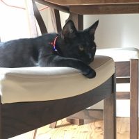 20170723095521_IMG_1430