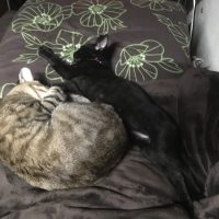 20170723144912_IMG_1437