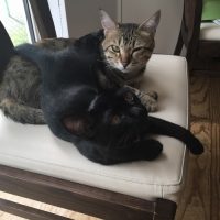 20170802145413_IMG_1468